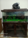 Aquarium